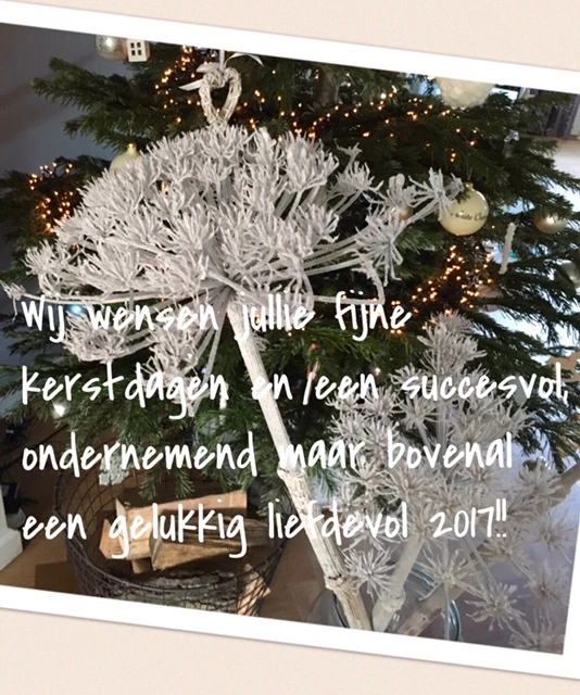 Fijne feestdagen!