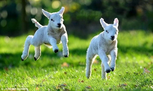 Het is lente, een heerlijke tijd van het jaar!